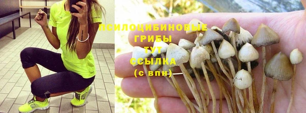 прущая мука Белоозёрский